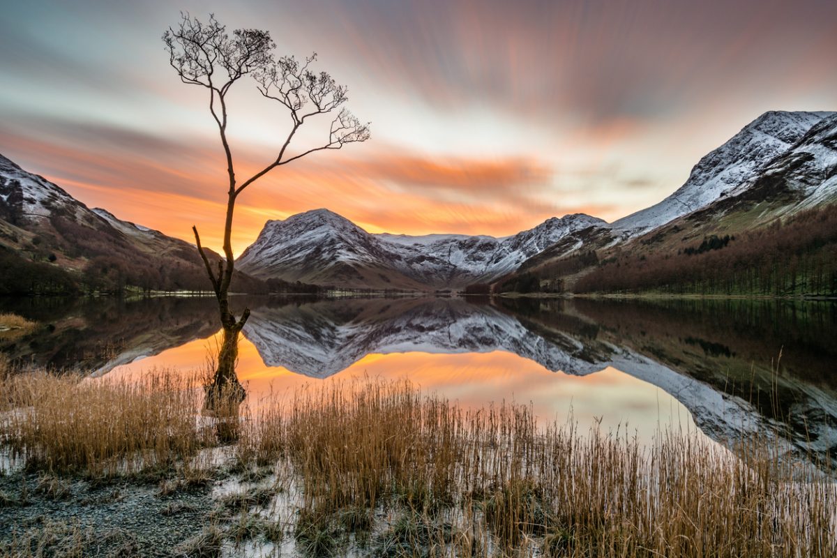A dramatic winter orange sunrise over Buttermere in the Lake District, UK. The photograph features a bare tree with the Cumbrian mountains in the background covered in snow. Clear reflections can be seen in the lake.