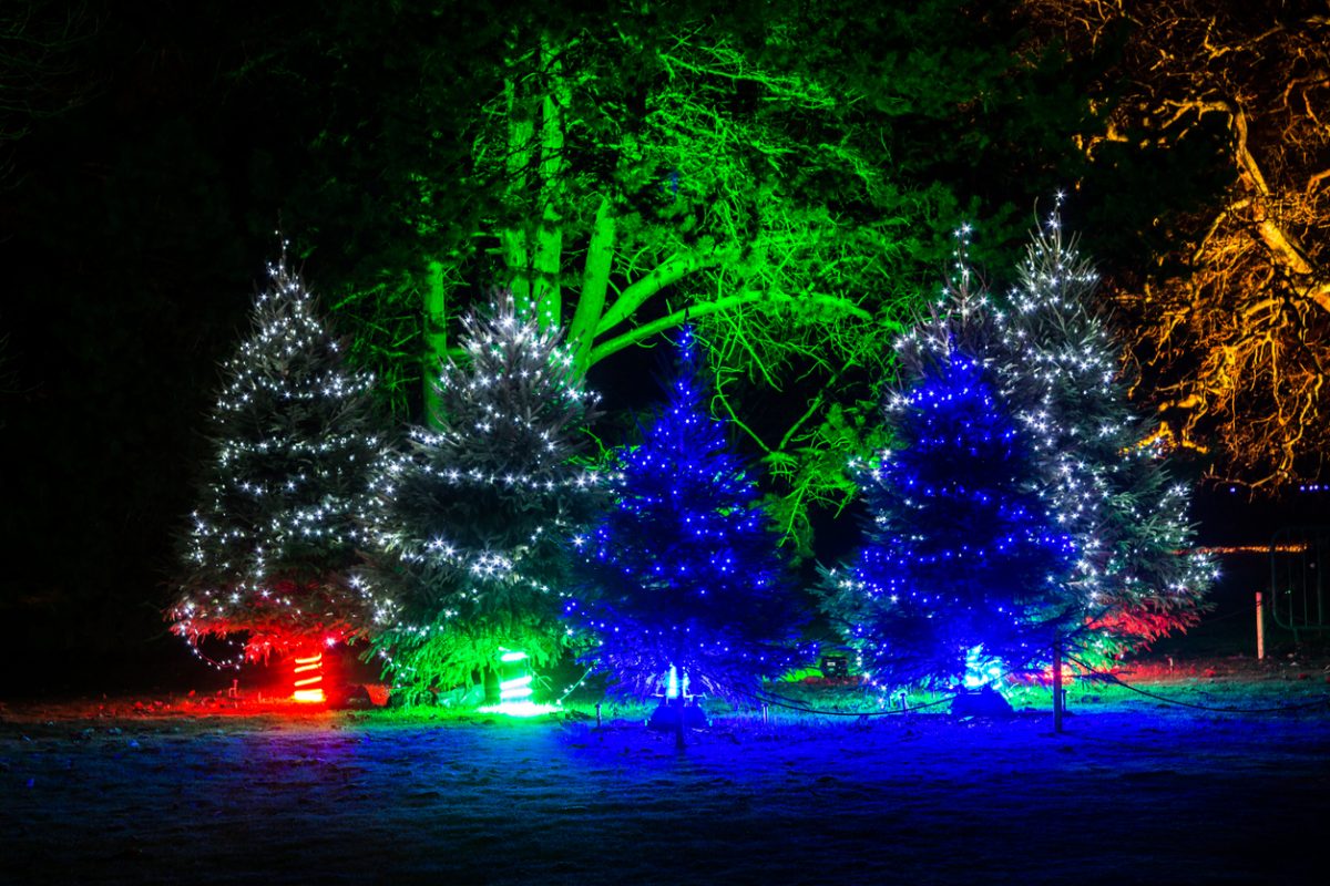 Many Christmas evergreen trees beautifully decorated with lights are illuminating at night in a pitch dark with magically lighten up trees on a background. Royal Kew Gardens, London, England, UK.