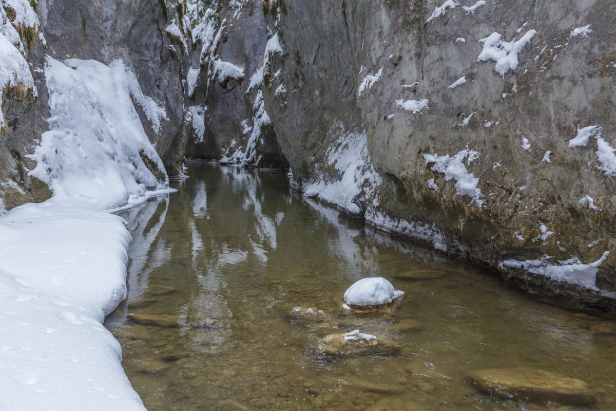 Winter in Gorge Bicaz with a stream, in Transylvania, Romania