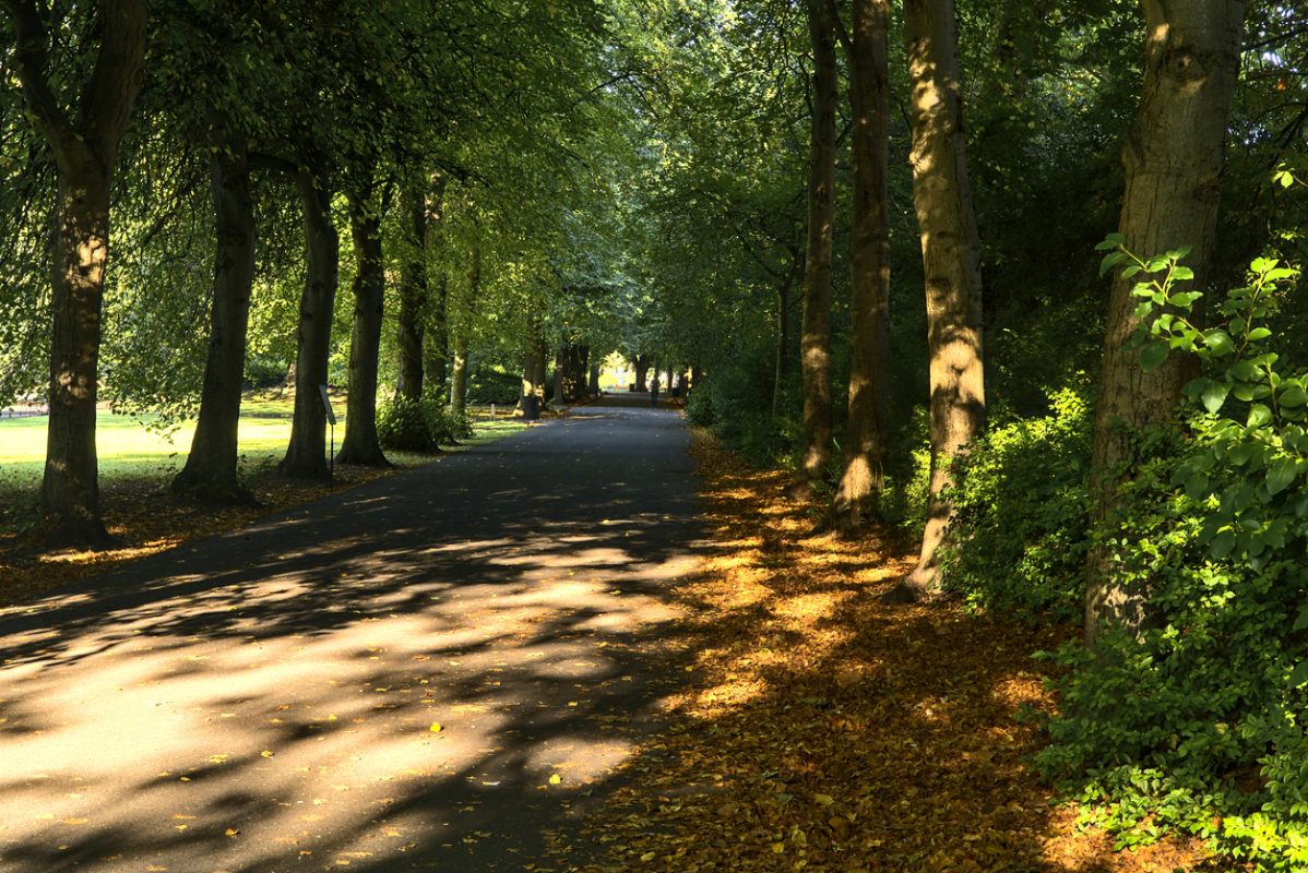 Beautiful walking path with fallen orange autumnal leaves in the morning sunlight in St. Stephen Green Park, Dublin, Ireland