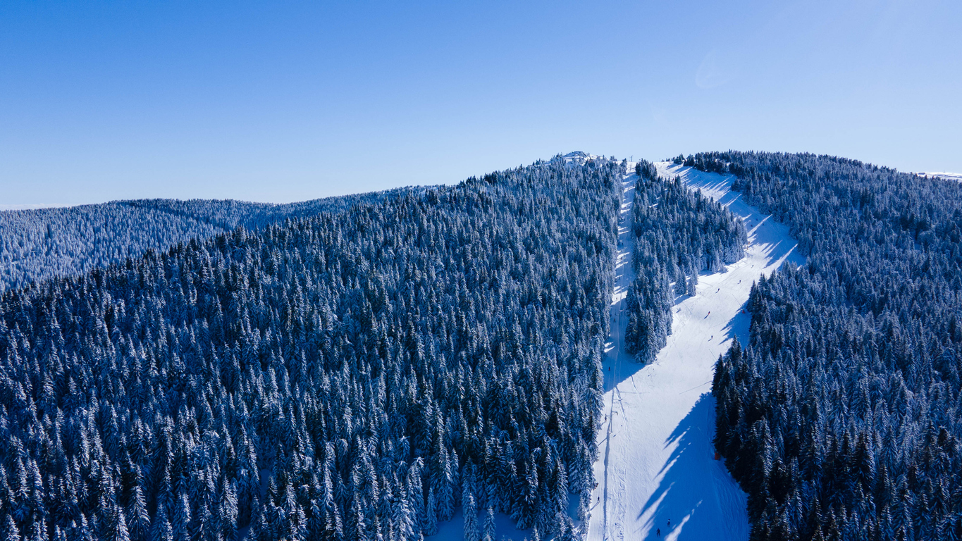 Drone view at slope on ski resort. Forest and ski slope from air. Winter landscape from a drone. Snowy landscape on ski resort. Aerial photography.