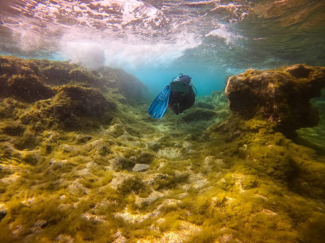 Man swimming just underwater at a Malta dive site.