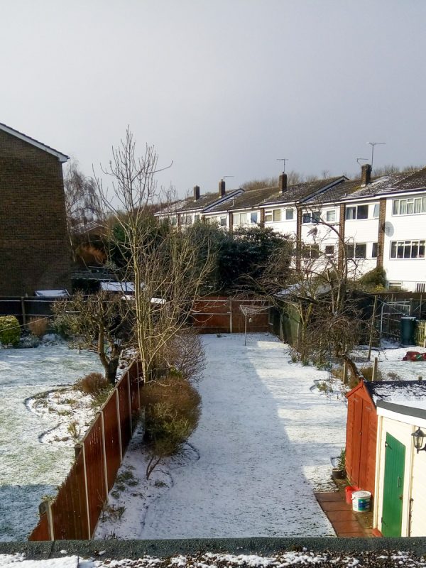snowy garden in england