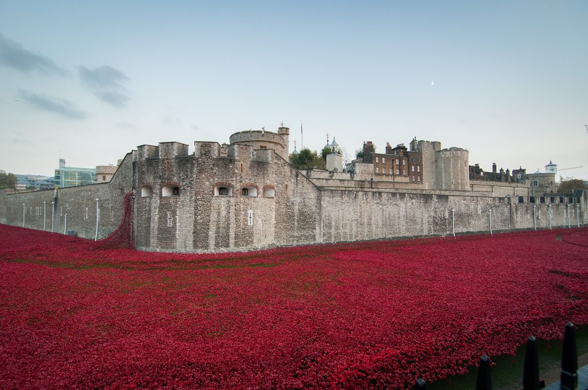 Poppies around the Tower of London in November.