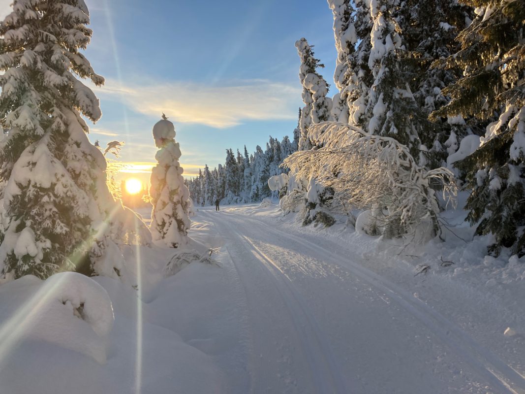 Cross country skiing with setting sun near Oslo in Norway
