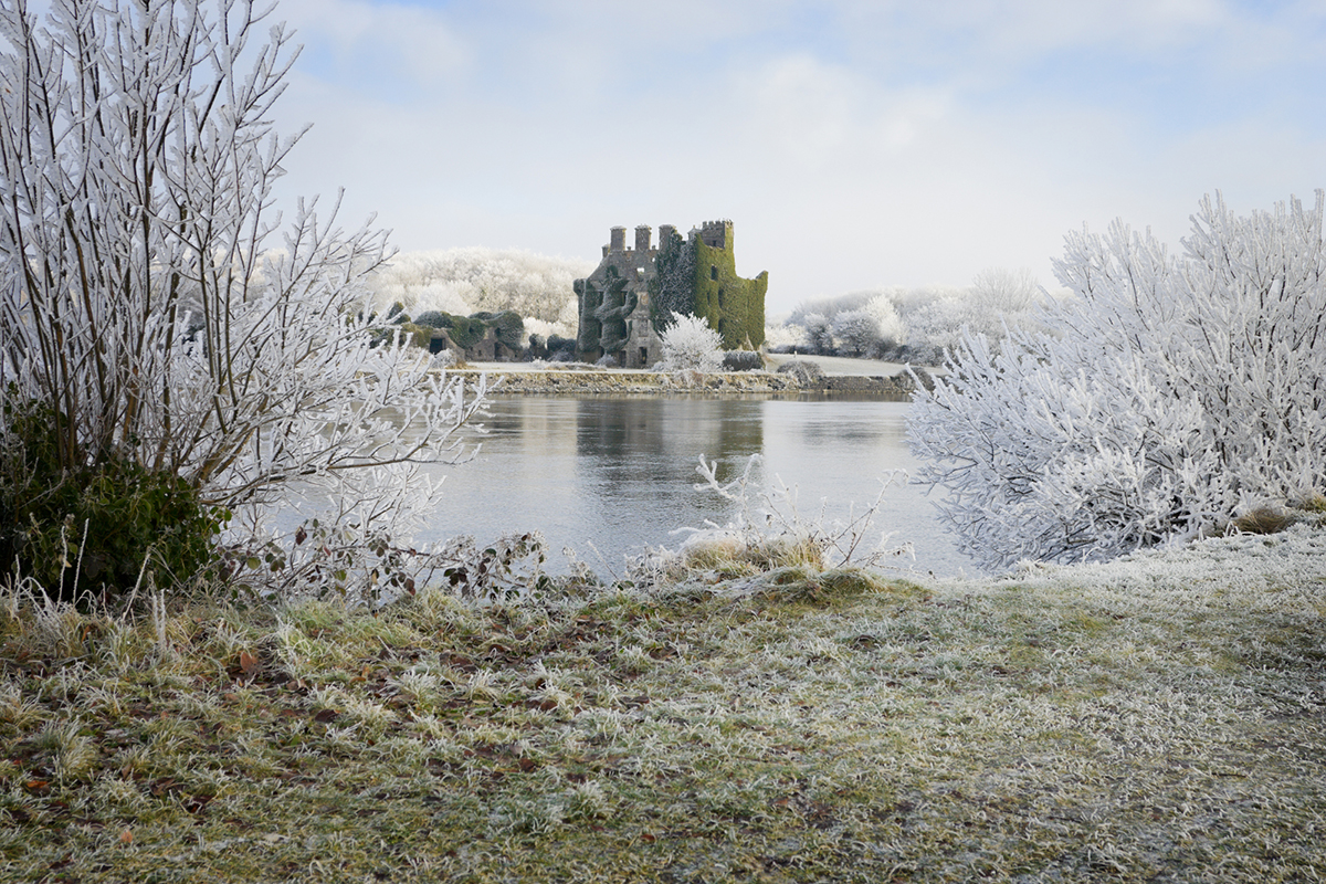 trees covered by frost and Irish castle ruins on cold winter day