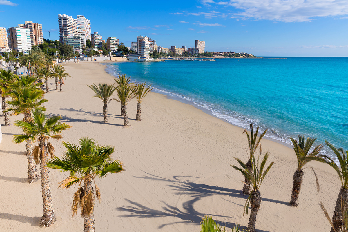 Alicante San Juan beach of La Albufereta with palms trees in Mediterranean Spain