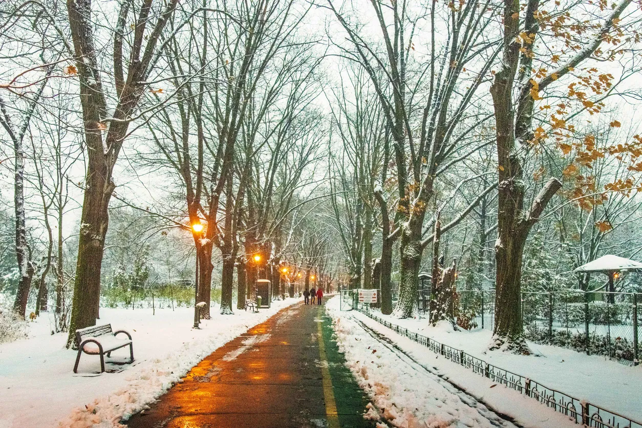 Winter season at Herastrau park Bucharest, Romania.A magnificent landscape covered with snow