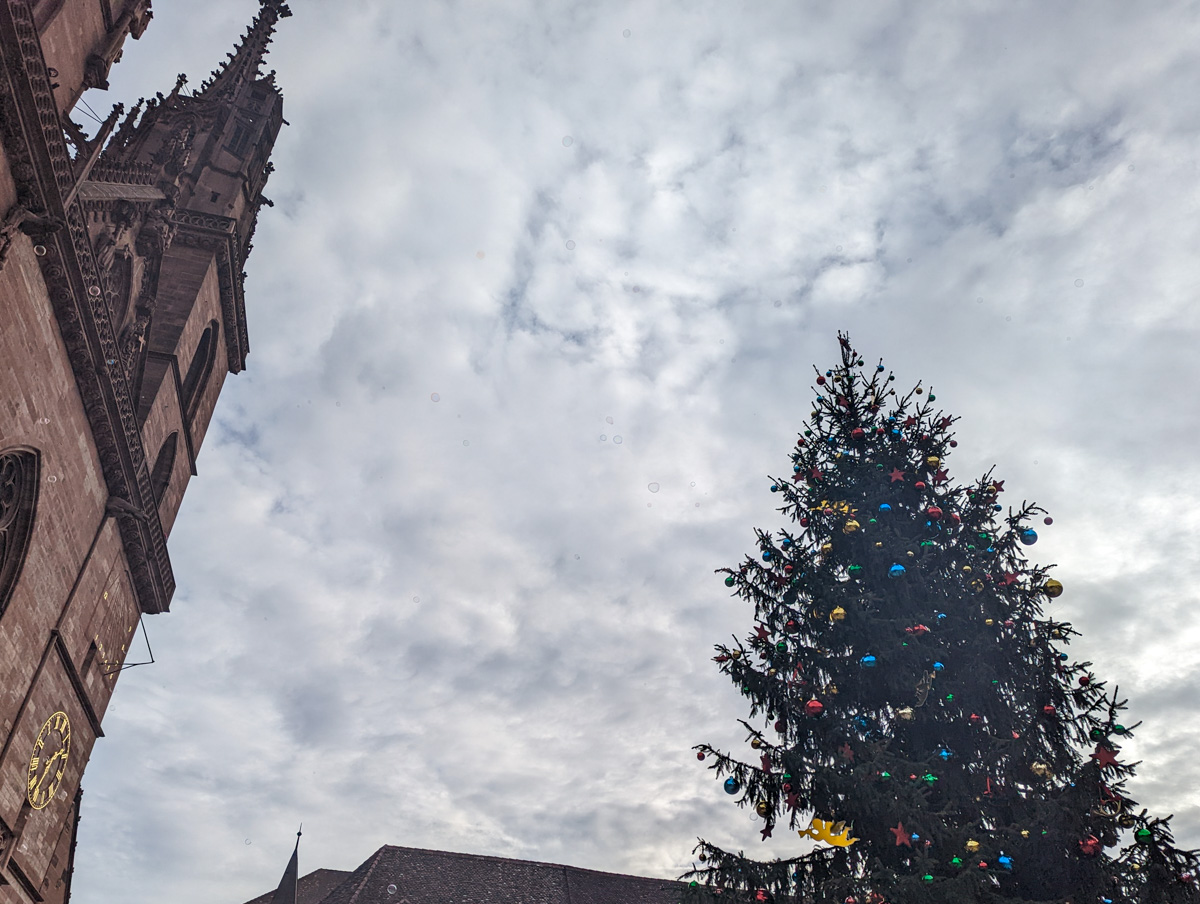 Tree rising up with building on the other side in Basel in winter.