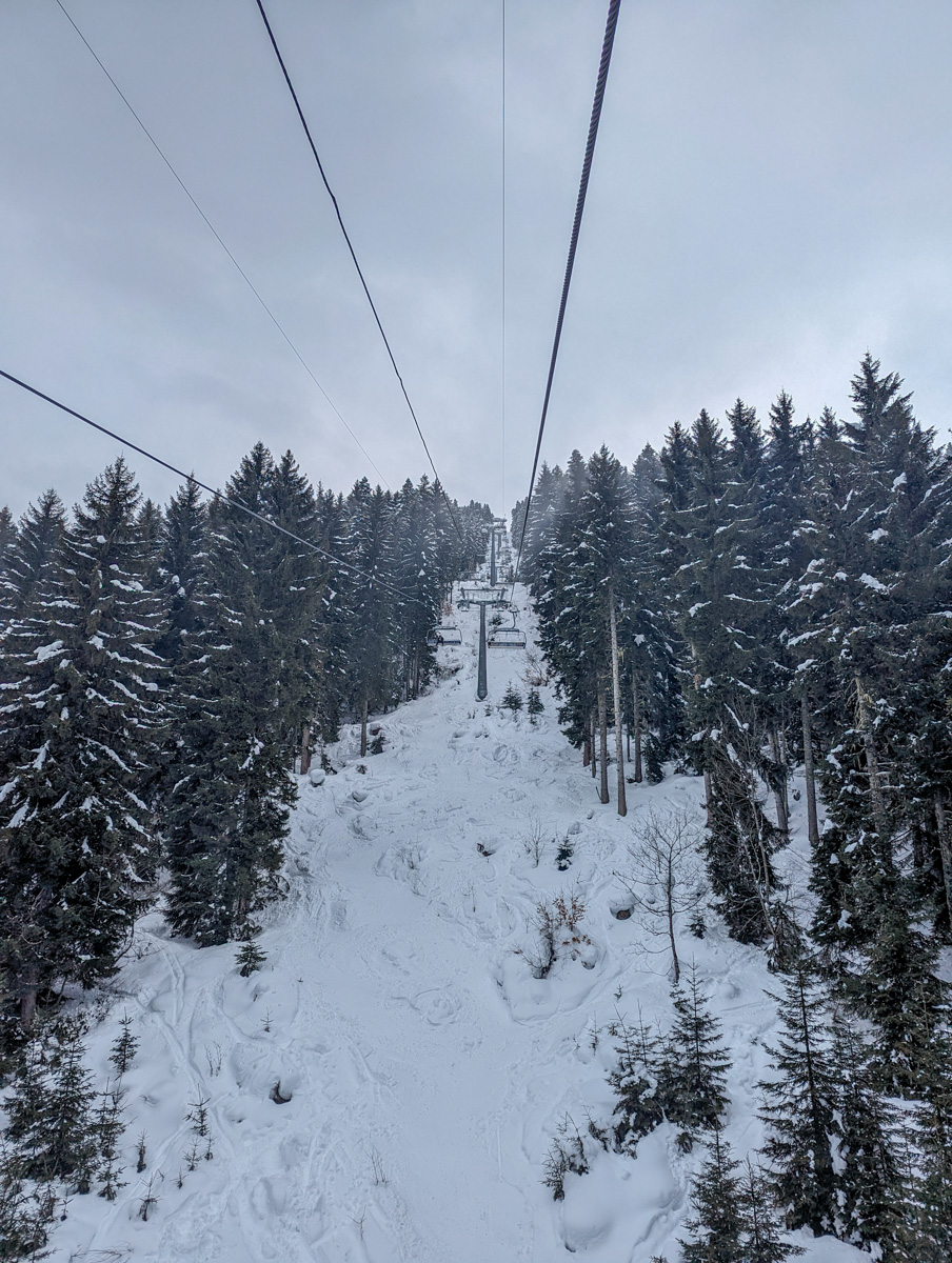 A view from a ski lift showing a snowy path through a dense evergreen forest leading down to Mestia, Georgia.