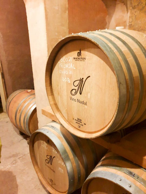 Wine barrels in Mallorca