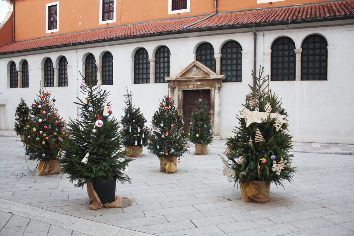 Zadar, Croatia - December 26, 2018: Christmas Trees on the Square near St. Simon's Church in the old historical center of Zadar.