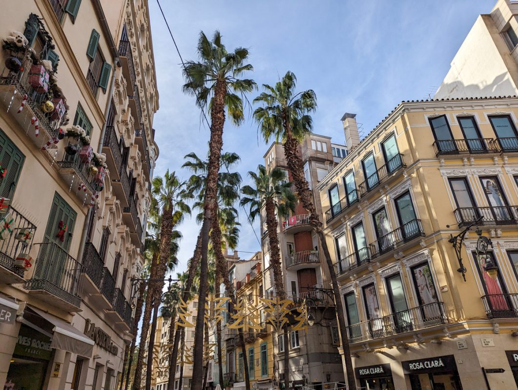 Streets of Malaga with tall palm trees