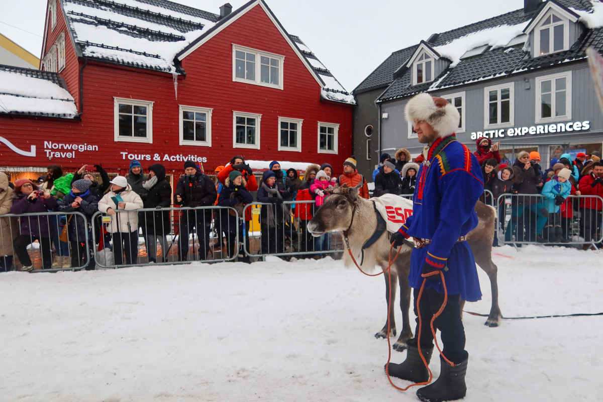 Reindeer racing with a Sami guide leading the reindeer down the snow-covered street with a red building in the background.