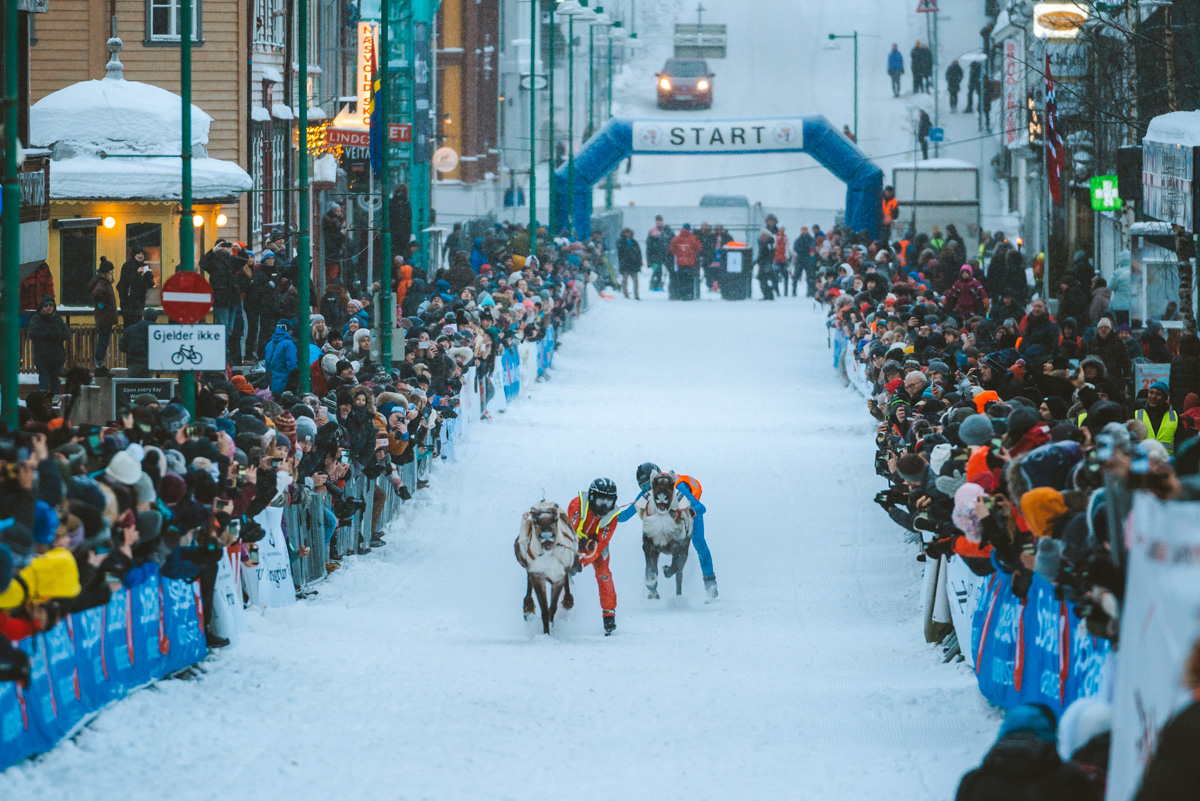 Crowds standing on either side of reindeer racing.