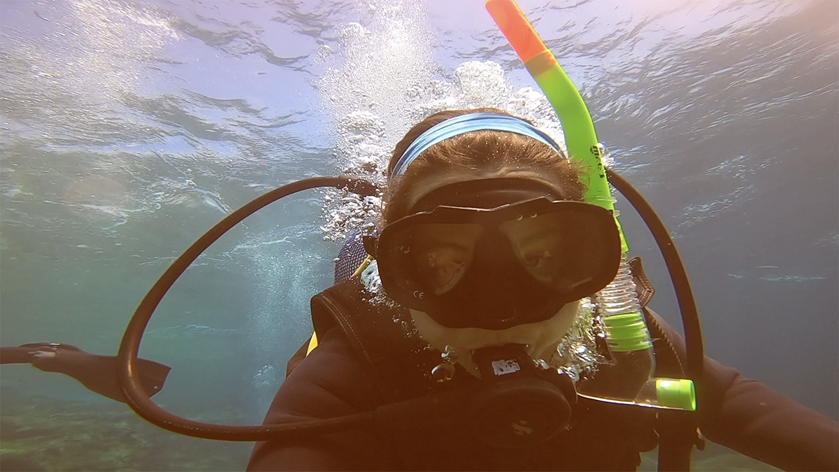 Diving just underneath the water