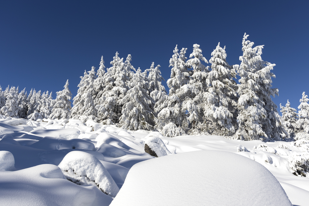 Winter landscape of Vitosha Mountain, Sofia City Region, Bulgaria