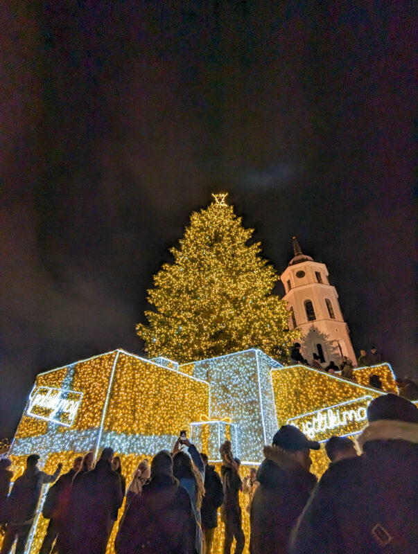 Christmas tree in Vilnius
