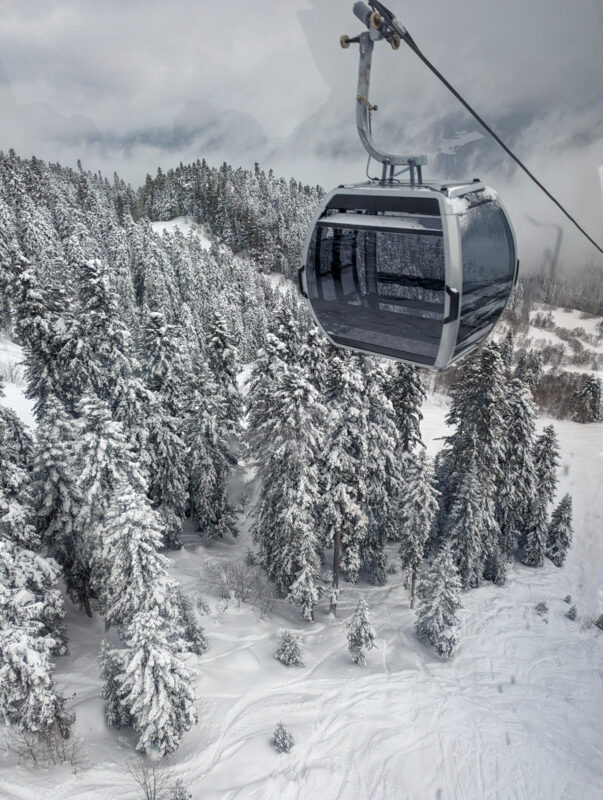 A winter landscape featuring a gondola lift cabin over snow-covered evergreen trees with mountain peaks obscured by mist in the background, in Mestia, Georgia.