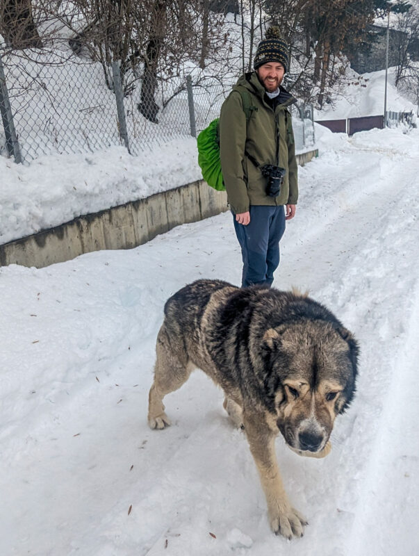 A man in a winter jacket and beanie smiling beside a large, fluffy dog on a snowy path in Mestia, Georgia.