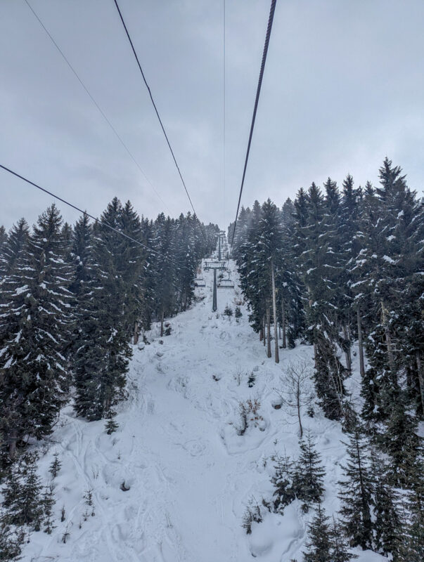 A view from a ski lift showing a snowy path through a dense evergreen forest leading down to Mestia, Georgia."