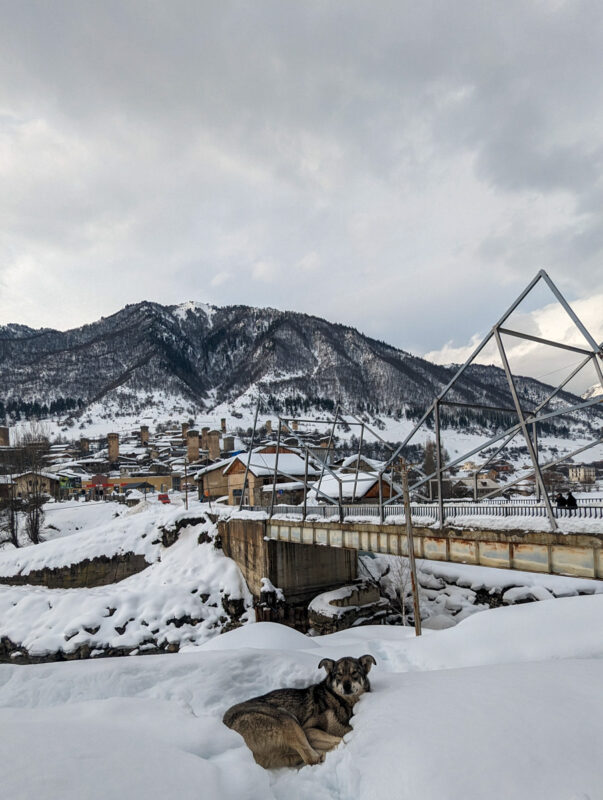 A dog lying on a snowdrift beside a river with a bridge in the background, overlooked by homes and mountains in Mestia, Georgia.