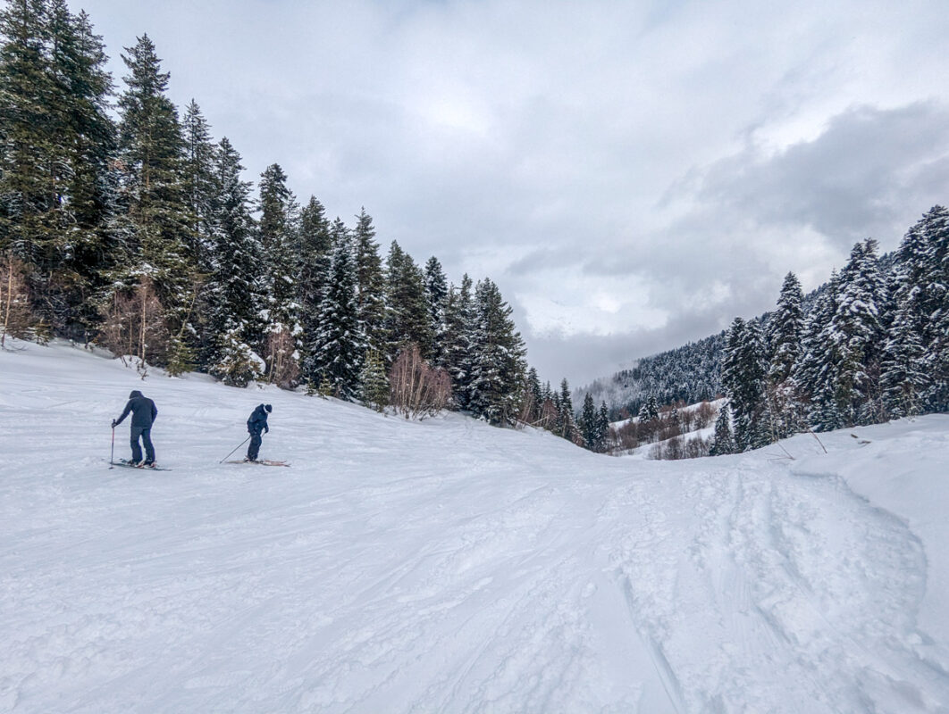 Two skiers making their way down a snowy slope surrounded by dense pine forests on a cloudy day in Mestia, Georgia.